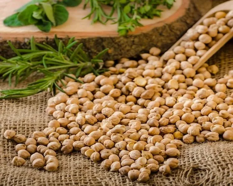 خرید نخود تک خان با قیمت استثنایی